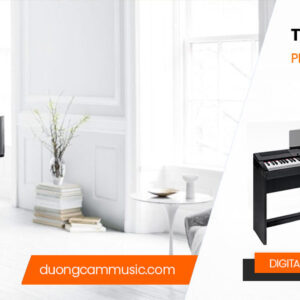 Bộ Phương Tiện & Giao thông F16 - Matching Book