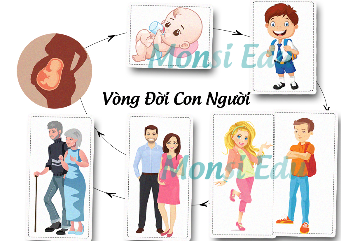 Bộ Tư Duy Logic – Matching Book F12 - Ảnh 12