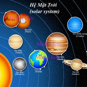 Alternative view of Bộ tổng hợp Song Ngữ Anh Việt – Matching Book F19