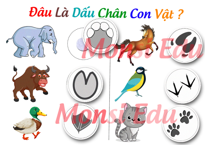 Bộ Tư Duy Logic – Matching Book F12 - Ảnh 6